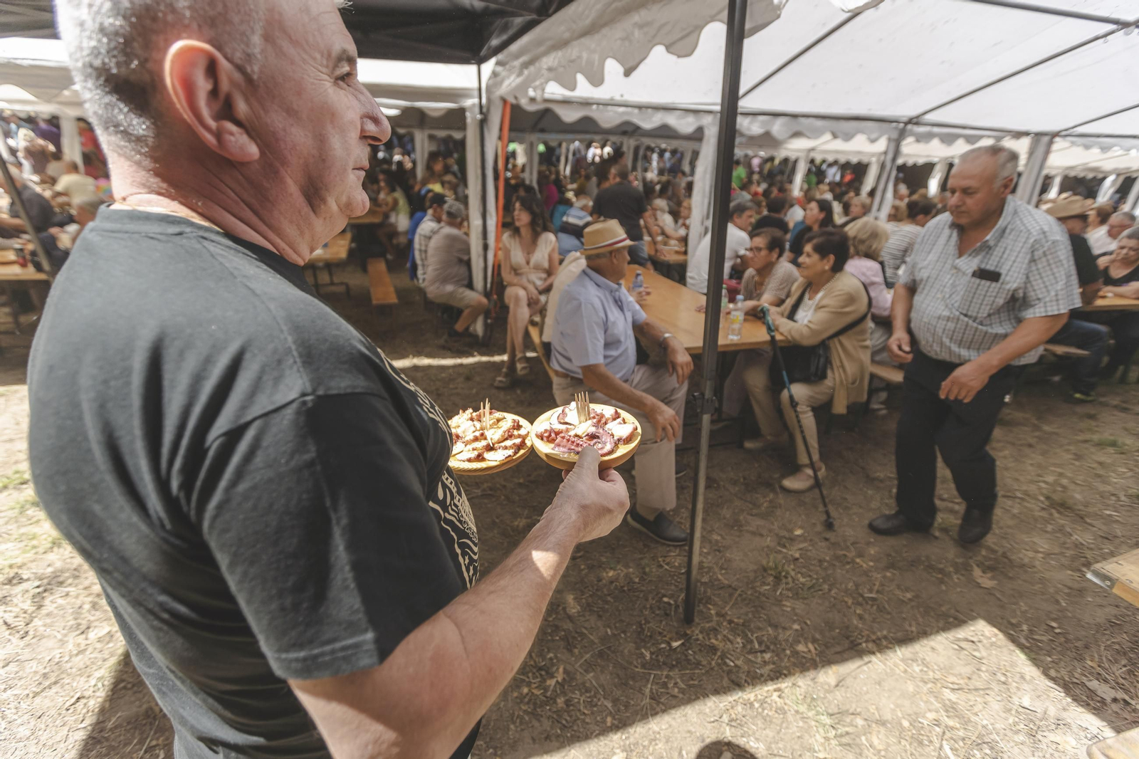 Galería | O Carballiño vuelve a disfrutar un año más de la Festa do Pulpo