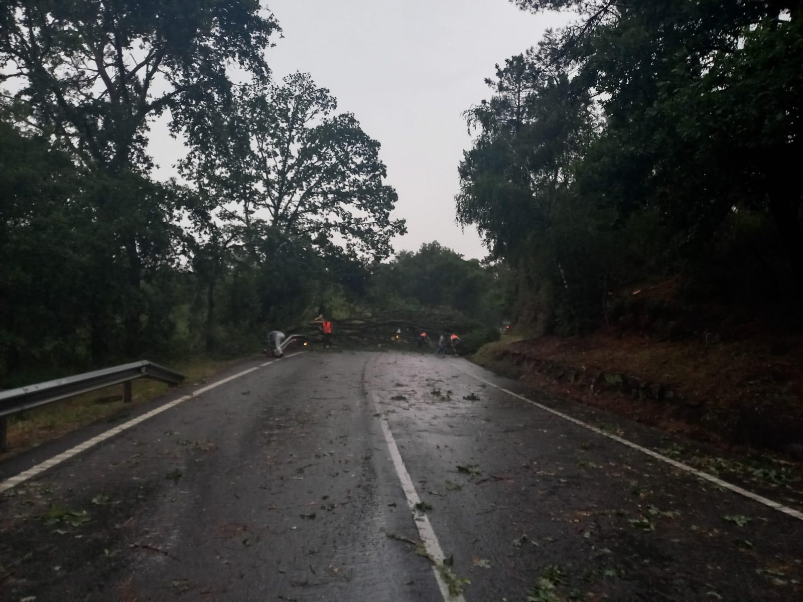 Caída de árboles en Esgos