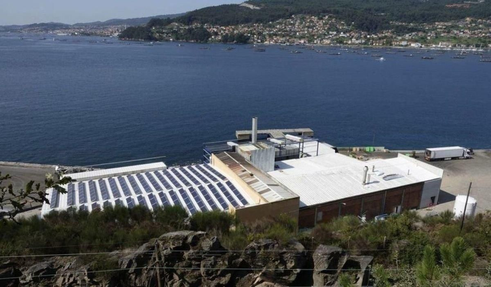 Instalaciones de la antigua  auxiliar conservera Aucosa en Chapela, que Wofco pondrá en venta.