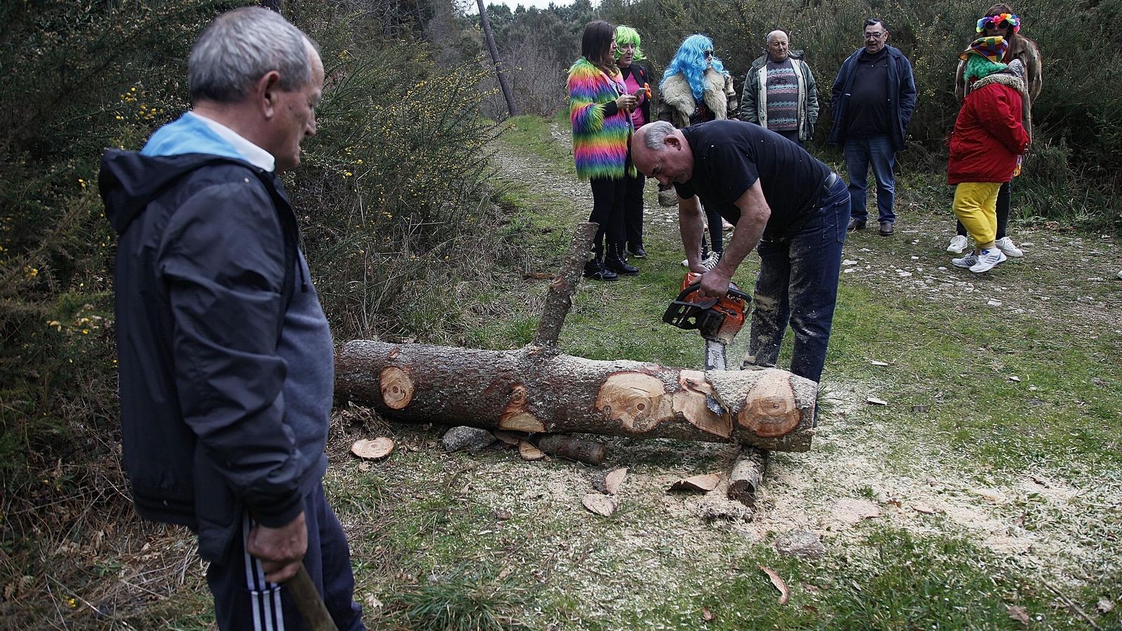 Galería | As Teixugueiras ya tienen a su meco de este Entroido