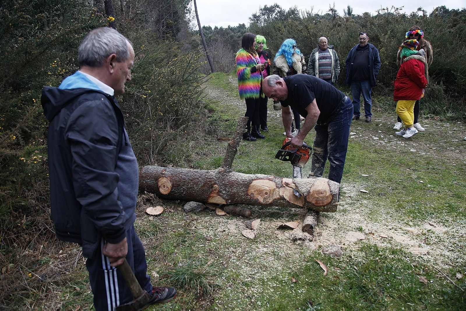 Galería | As Teixugueiras ya tienen a su meco de este Entroido