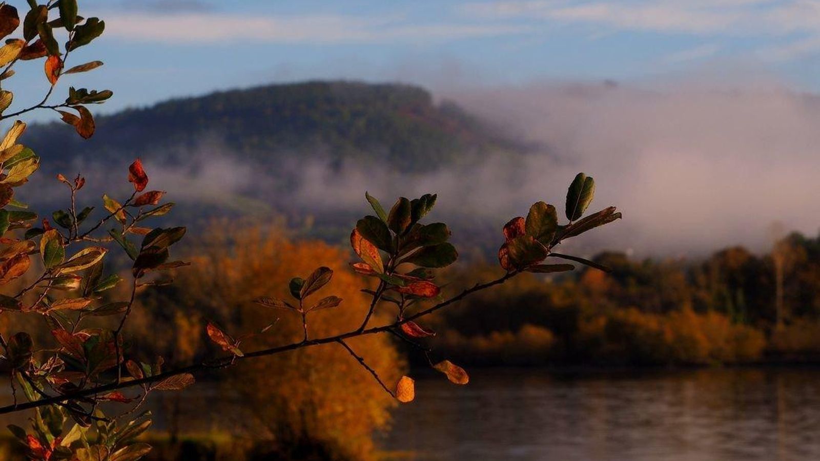 ourense-3852329_1920_resultado