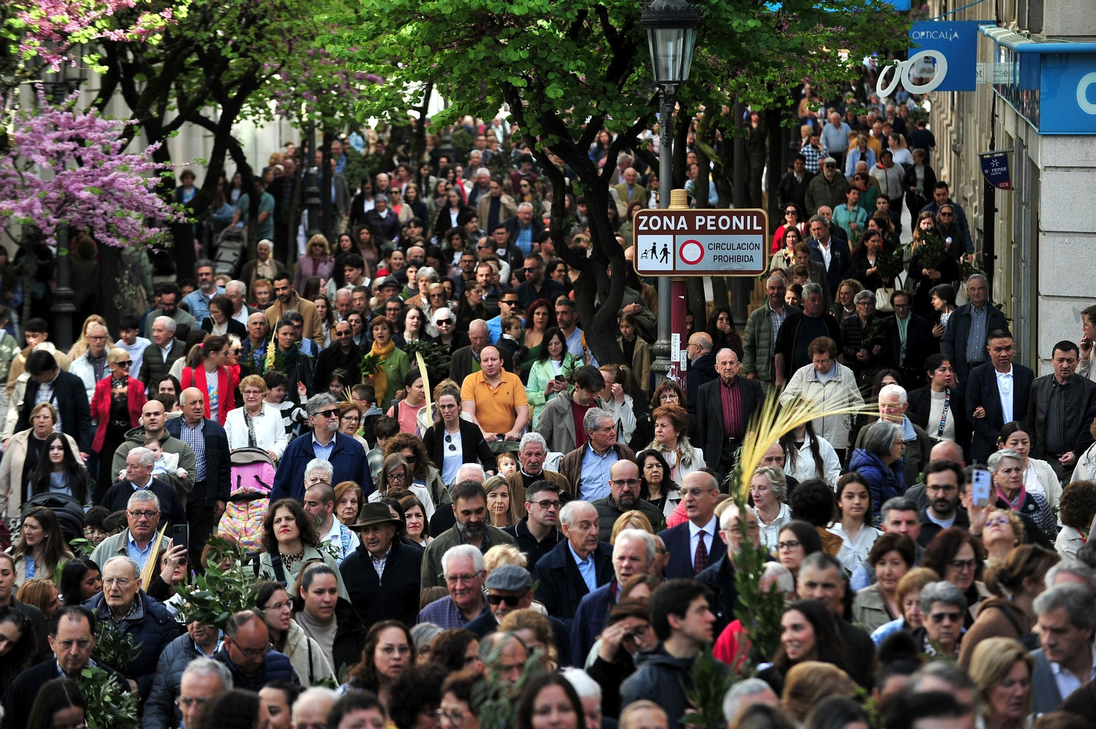 Galería | El Domingo de Ramos, primera gran muestra de devoción popular en Ourense