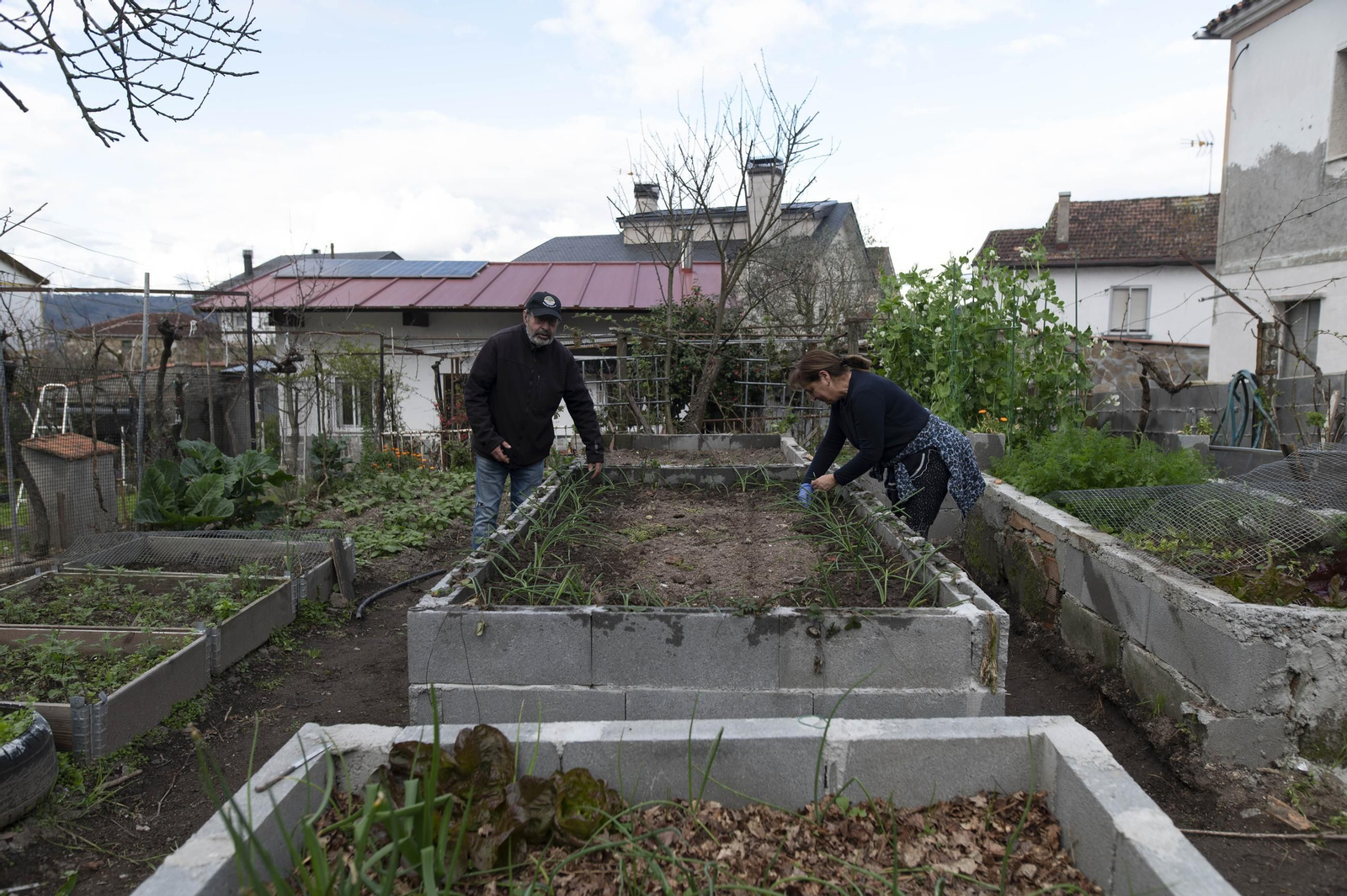 Bieito y Chus trabajando en su huerta familiar en Montealegre.