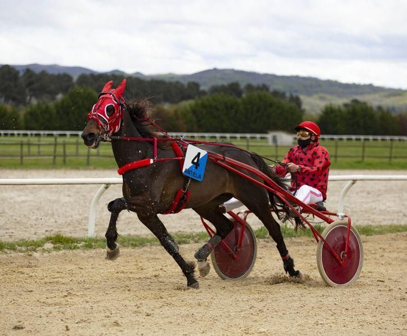 El hipódromo de Antela acogió la Copa Deputación de Hípica en modalidad de velocidad y trote en el hipódromo de Antela (Fotos: Xesús Fariñas)
