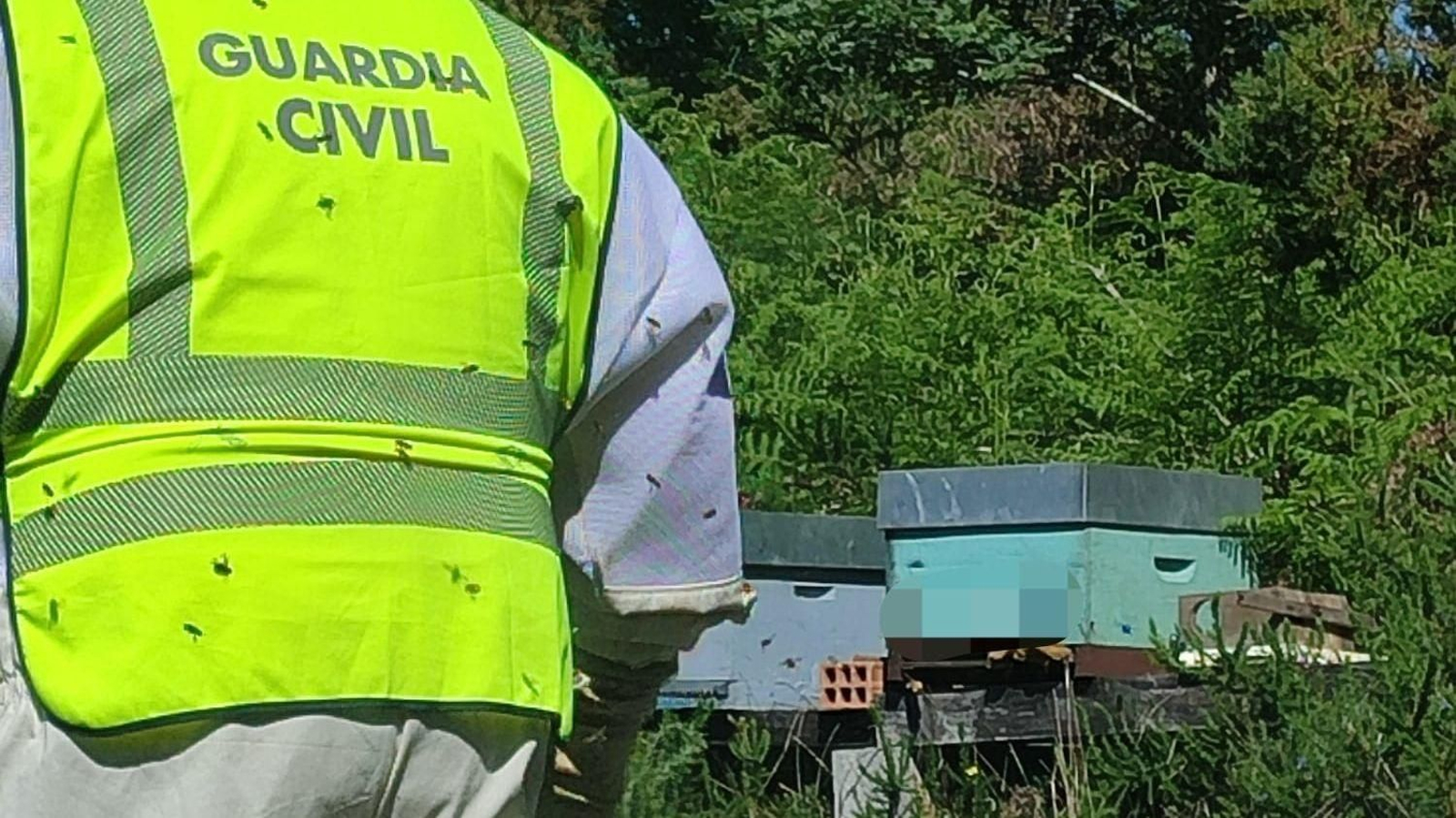 Investigado un vecino de Verea (Ourense) como presunto autor del hurto de 34 colmenas valoradas en más de 5.000 euros