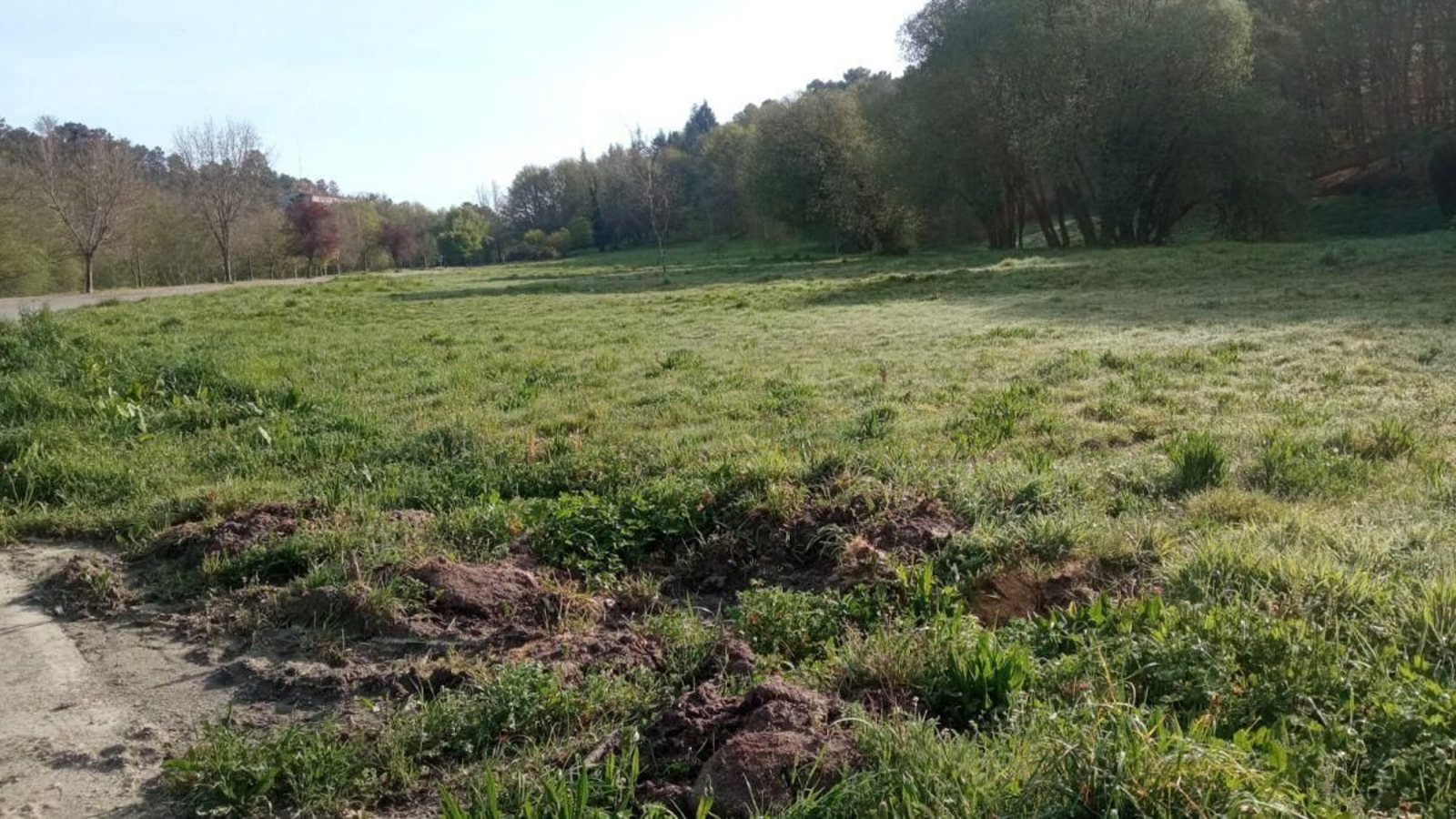 La finca de As Barcias será habilitada como un gran espacio de conciertos y de práctica deportiva.