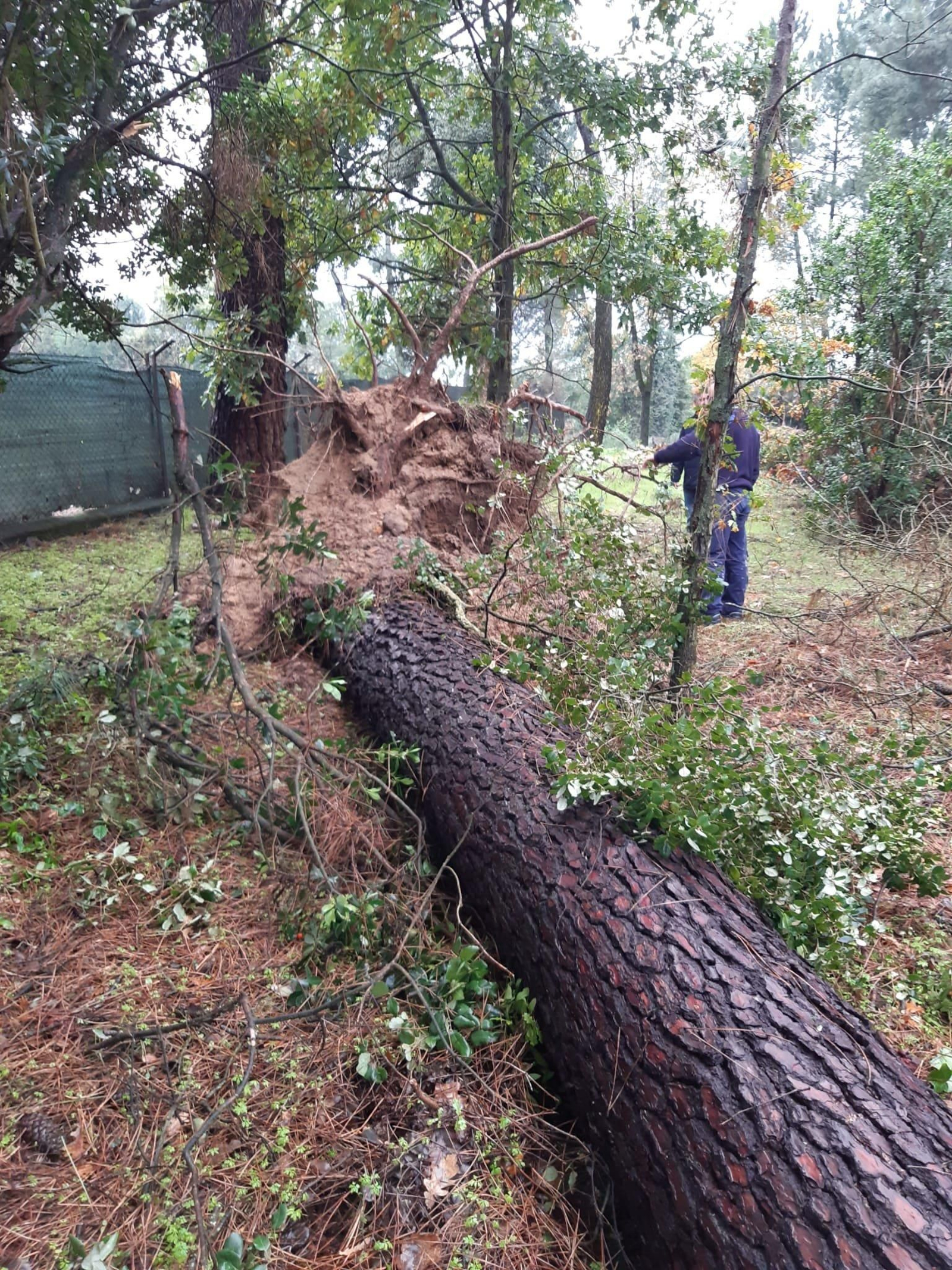 Destrozos en la Universidad Laboral por el temporal
