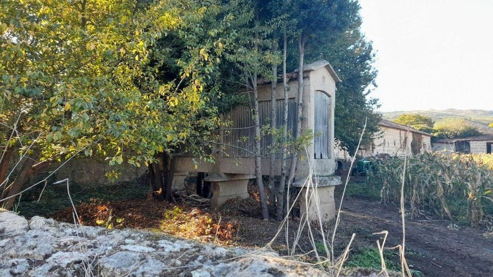 Hórreo centenario en un pazo de Vilaza.