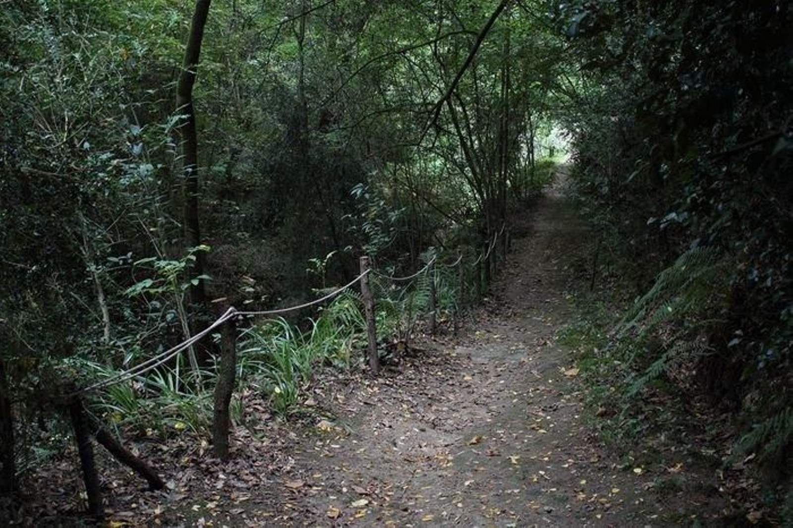 El Pazo de Santa Cruz demuestra la Galicia más natural.