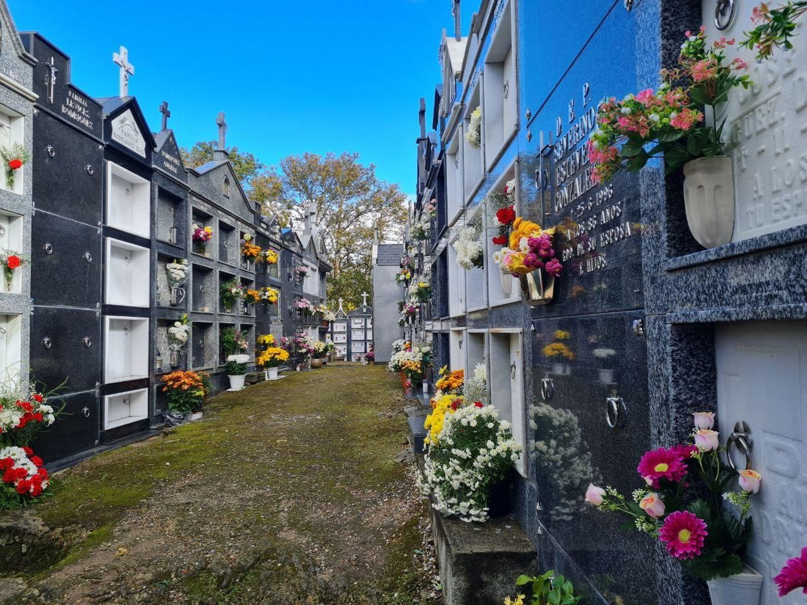 Cementerio de Manzaneda esta mañana festiva. // R,M.