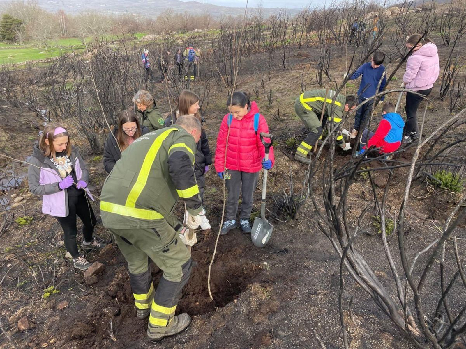 Los alumnos plantando árboles.