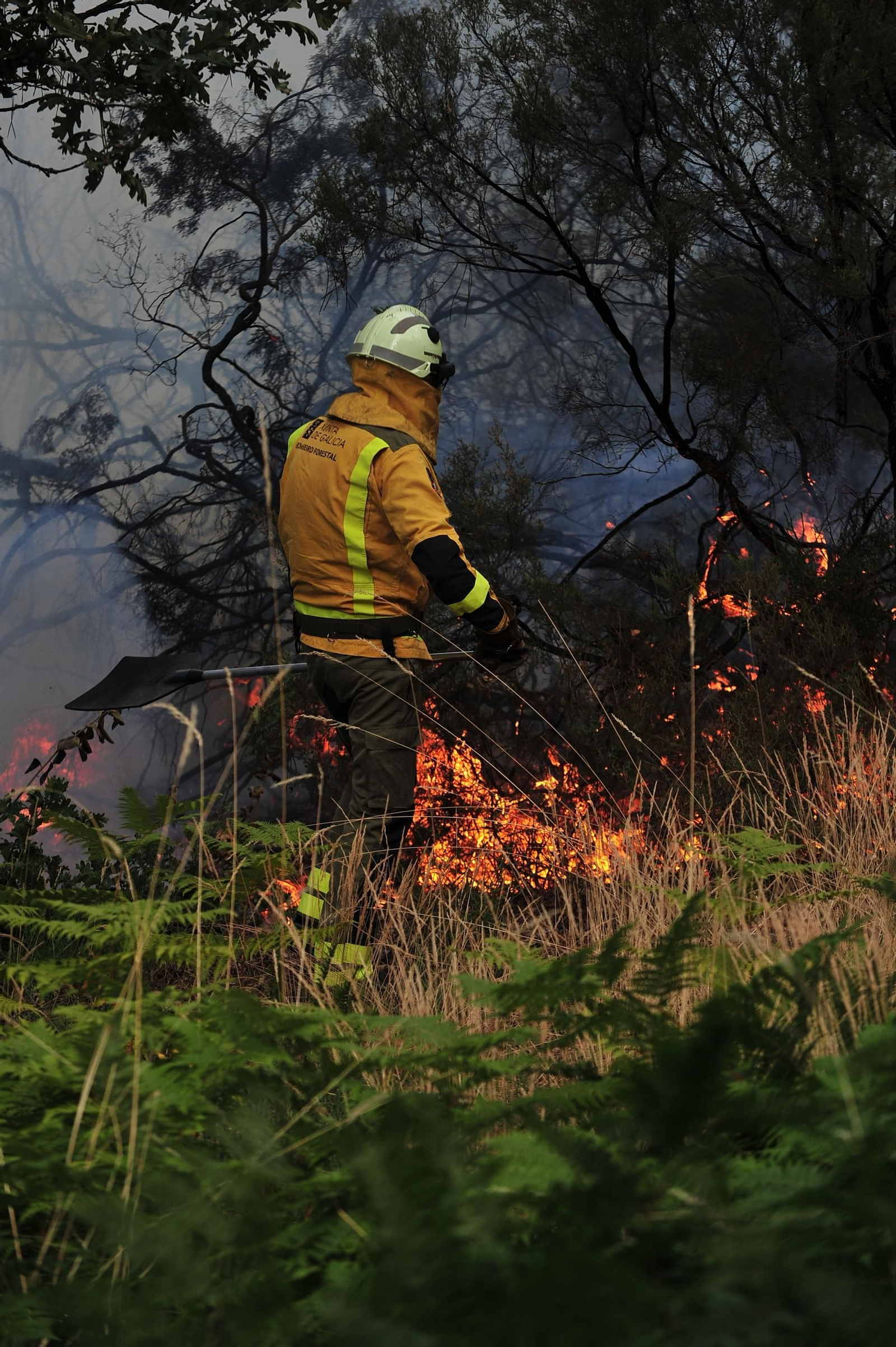Galería | Despliegue de medios para extinguir un incendio en Rante