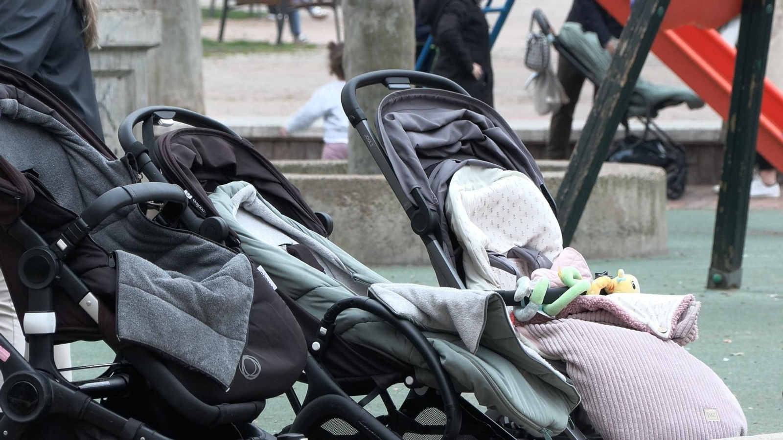 Carritos de bebé en un parque.