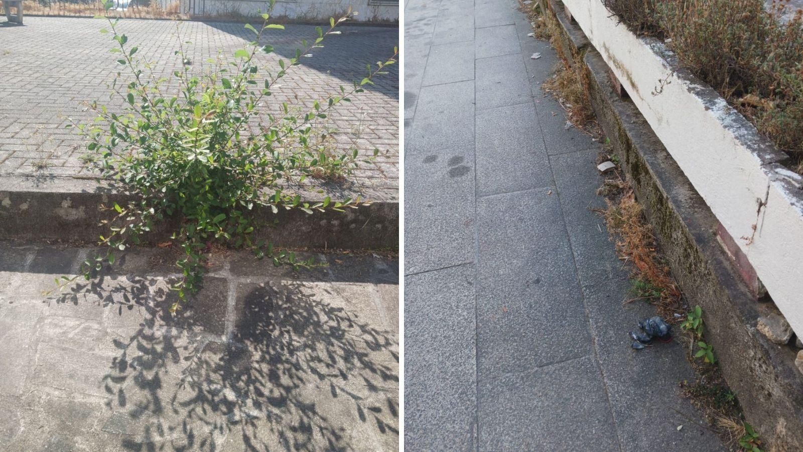A rúas de Xinzo, unha vergoña