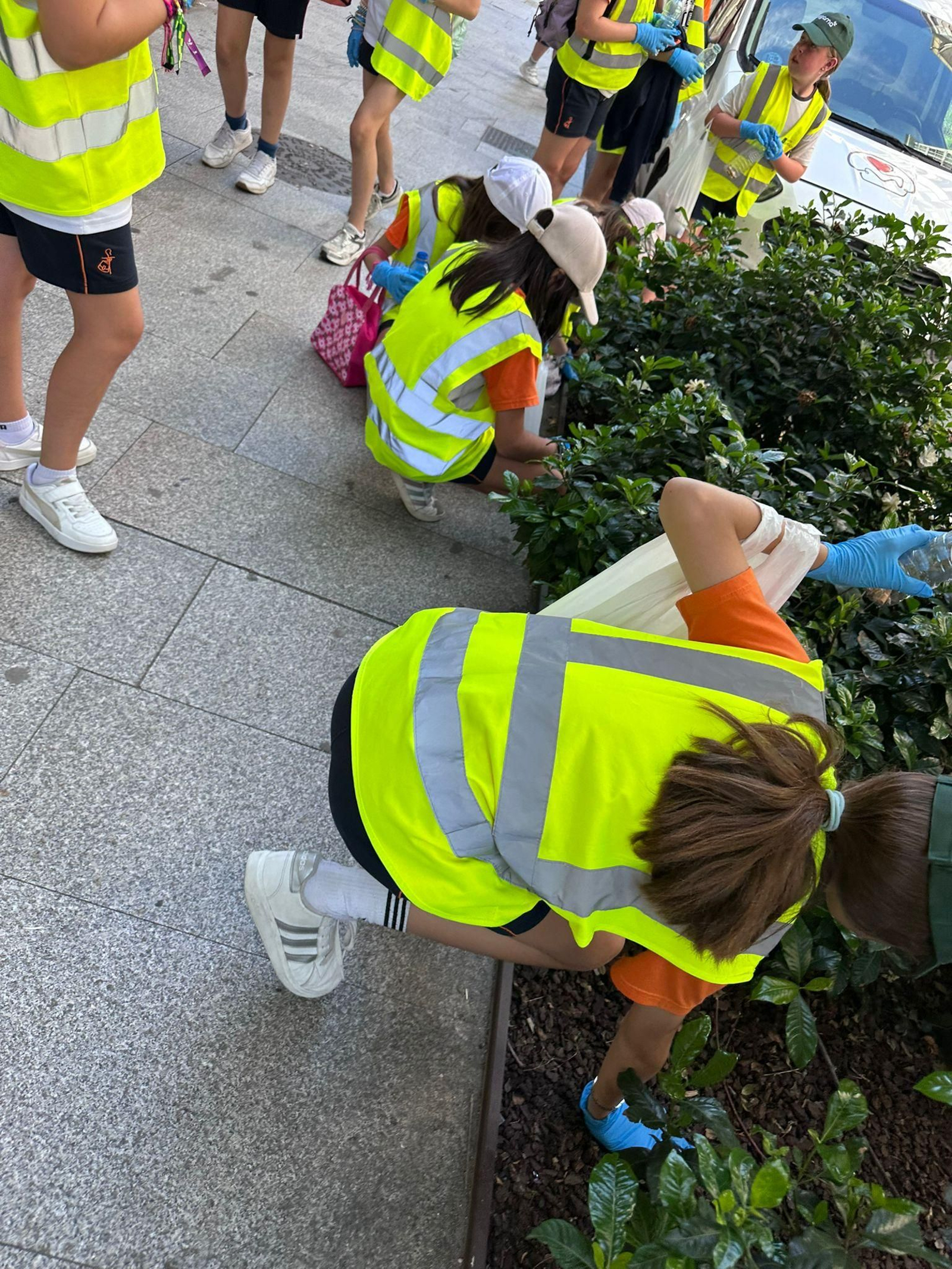 Recogida de colillas de Ecovigilantes