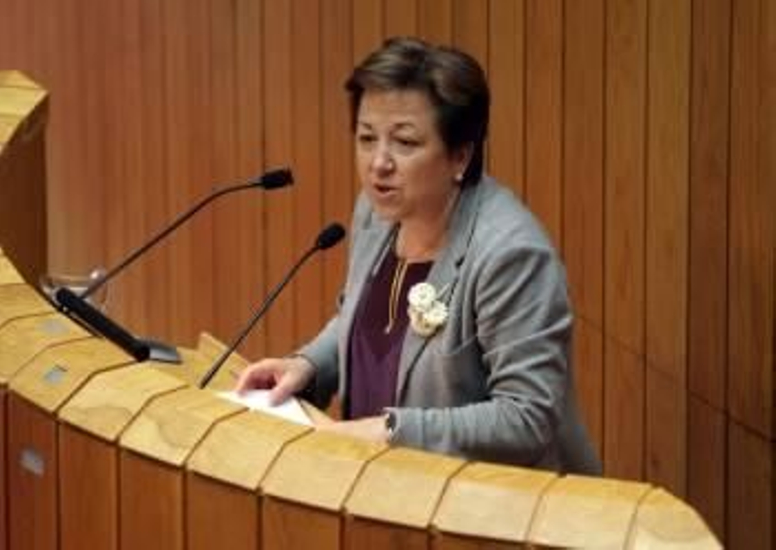 Farjas, en una de sus comparecencias ante el Parlamento autonómico