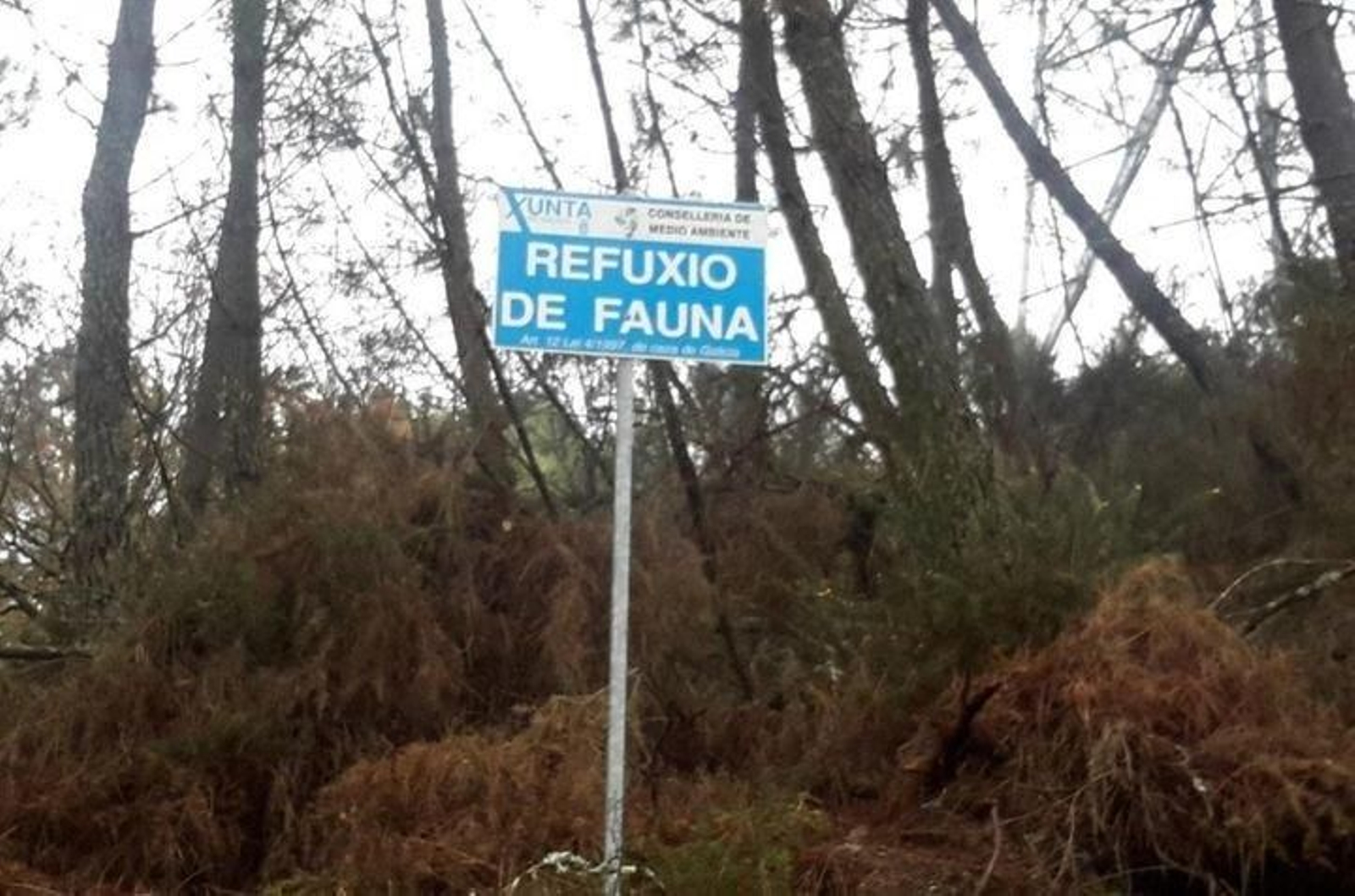 Cartel ubicado en el bosque de Ridimoas que sañala su carácter de espacio protegido.