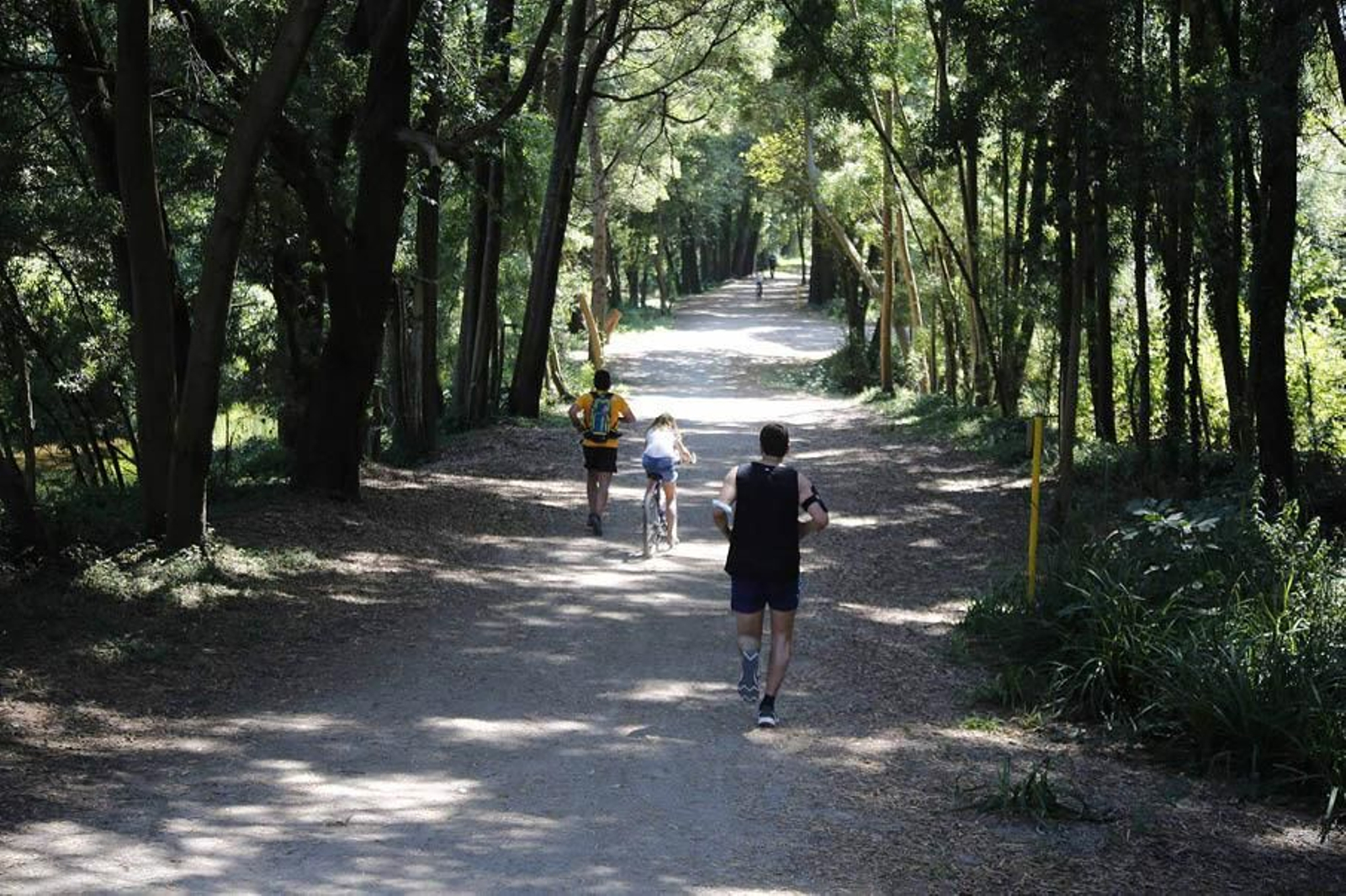 La senda del Lagares contará con un parque urbano de nueva creación con casi 260.000 metros cuadrados.