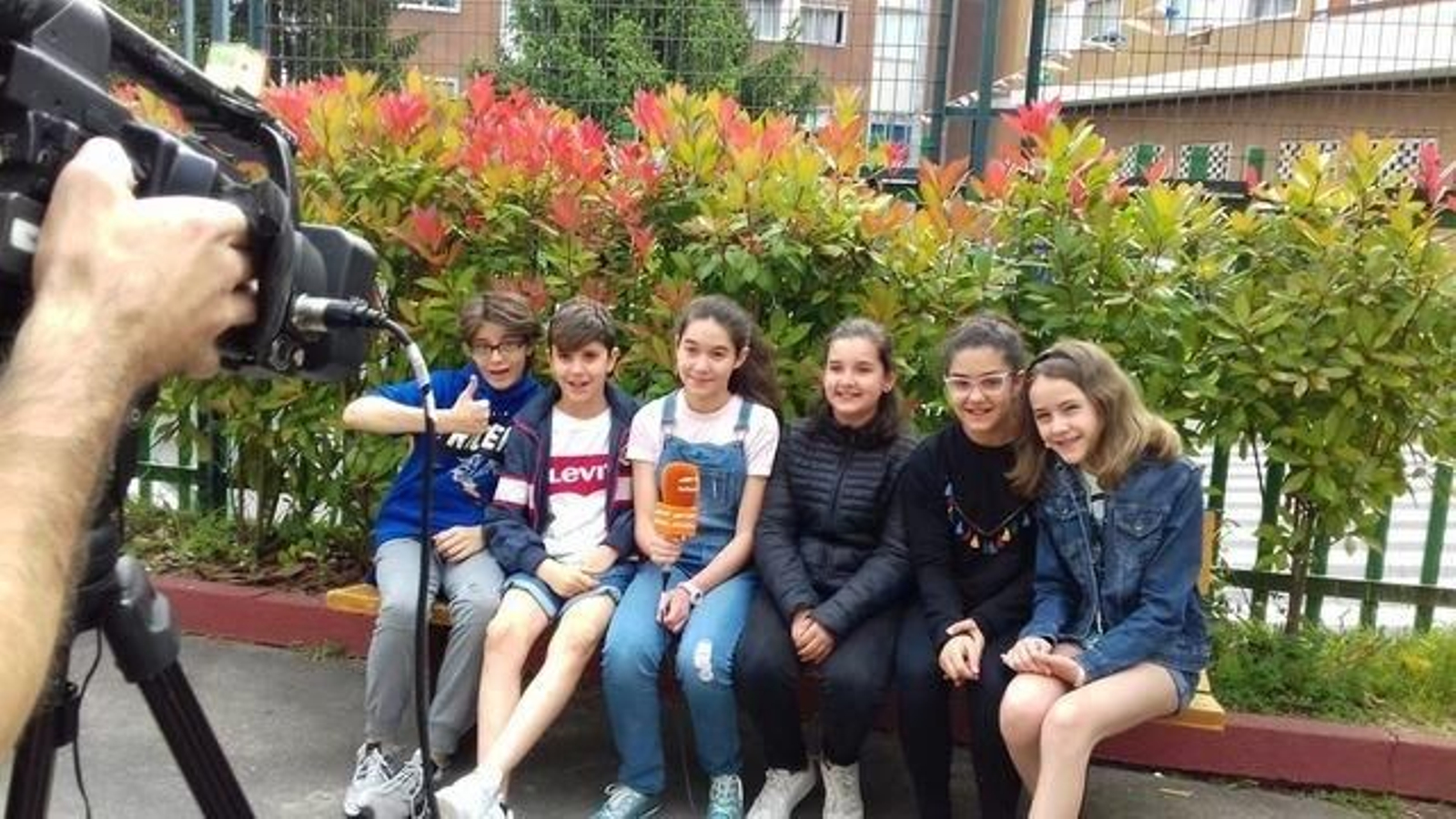 IMG-20180523-WA0012_result