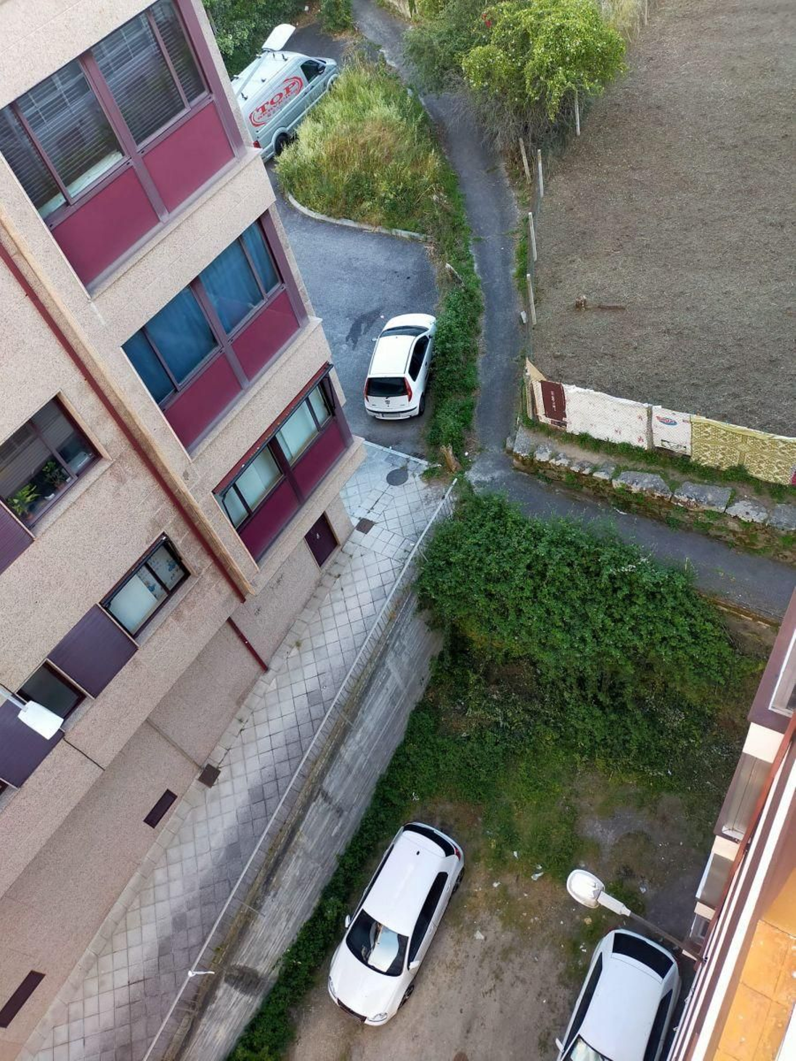 Despropósito na rúa Roi Páez