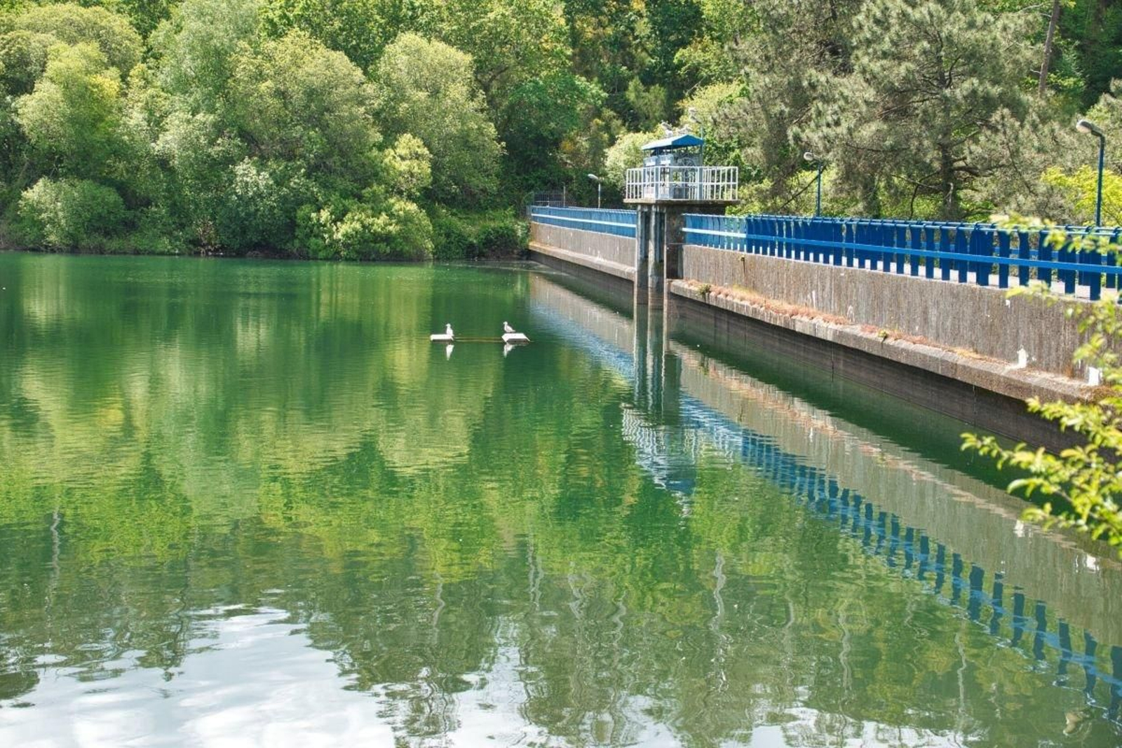 El embalse de Zamáns, este pasado domingo, al 100 por cien.