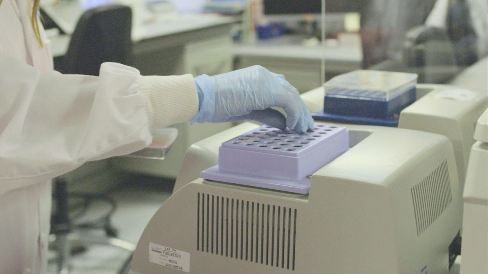 Laboratorio.