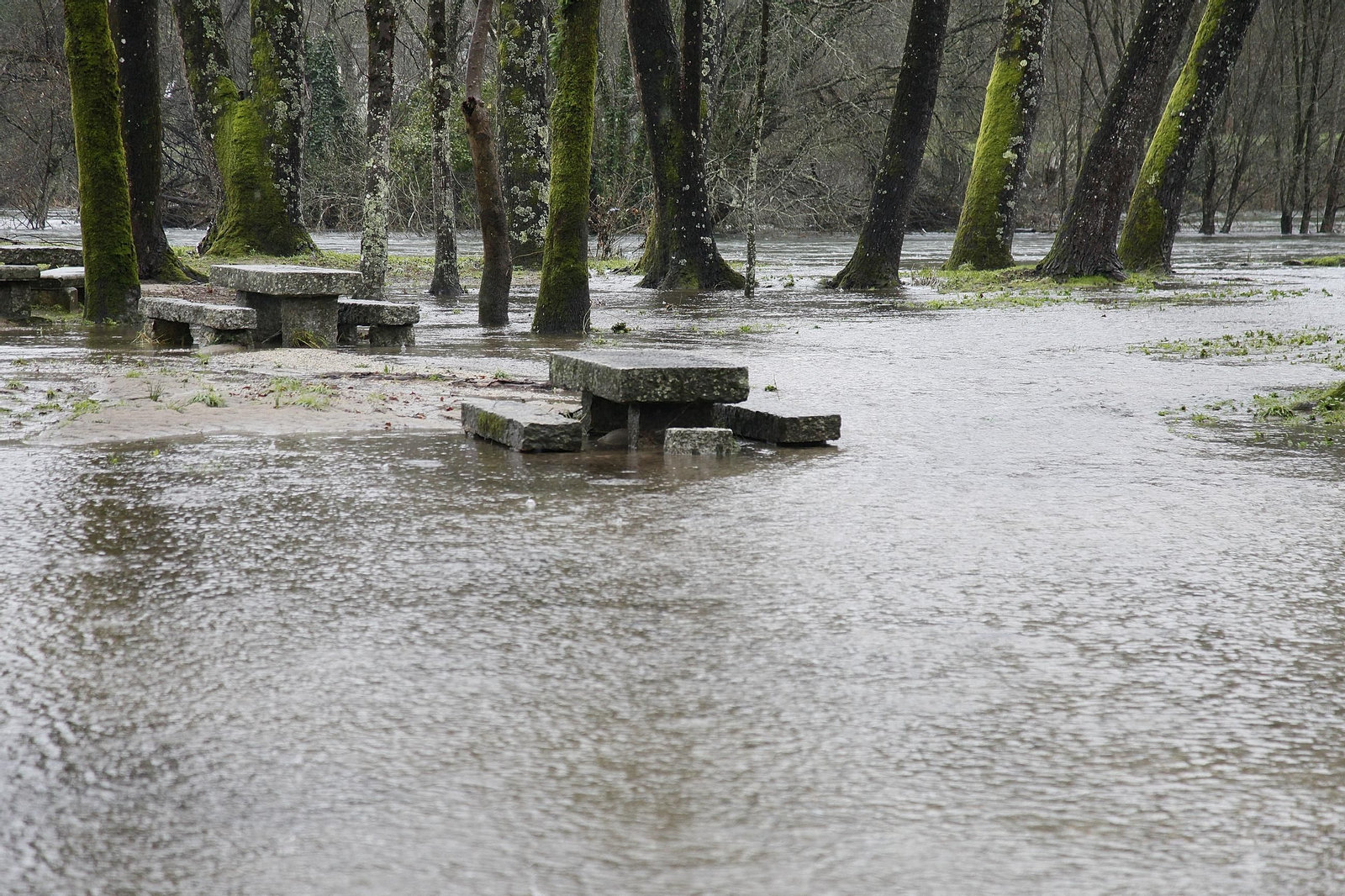 Galería | La crecida de los ríos anegan la provincia de Ourense