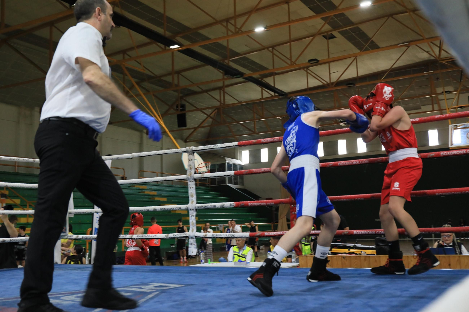 Galería | Verín disfruta de su primer Open de Boxeo