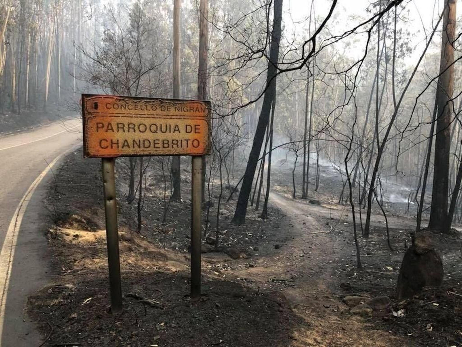 Los montes de Chandebrito quedaron arrasados tras la peor ola de incendios en Vigo.