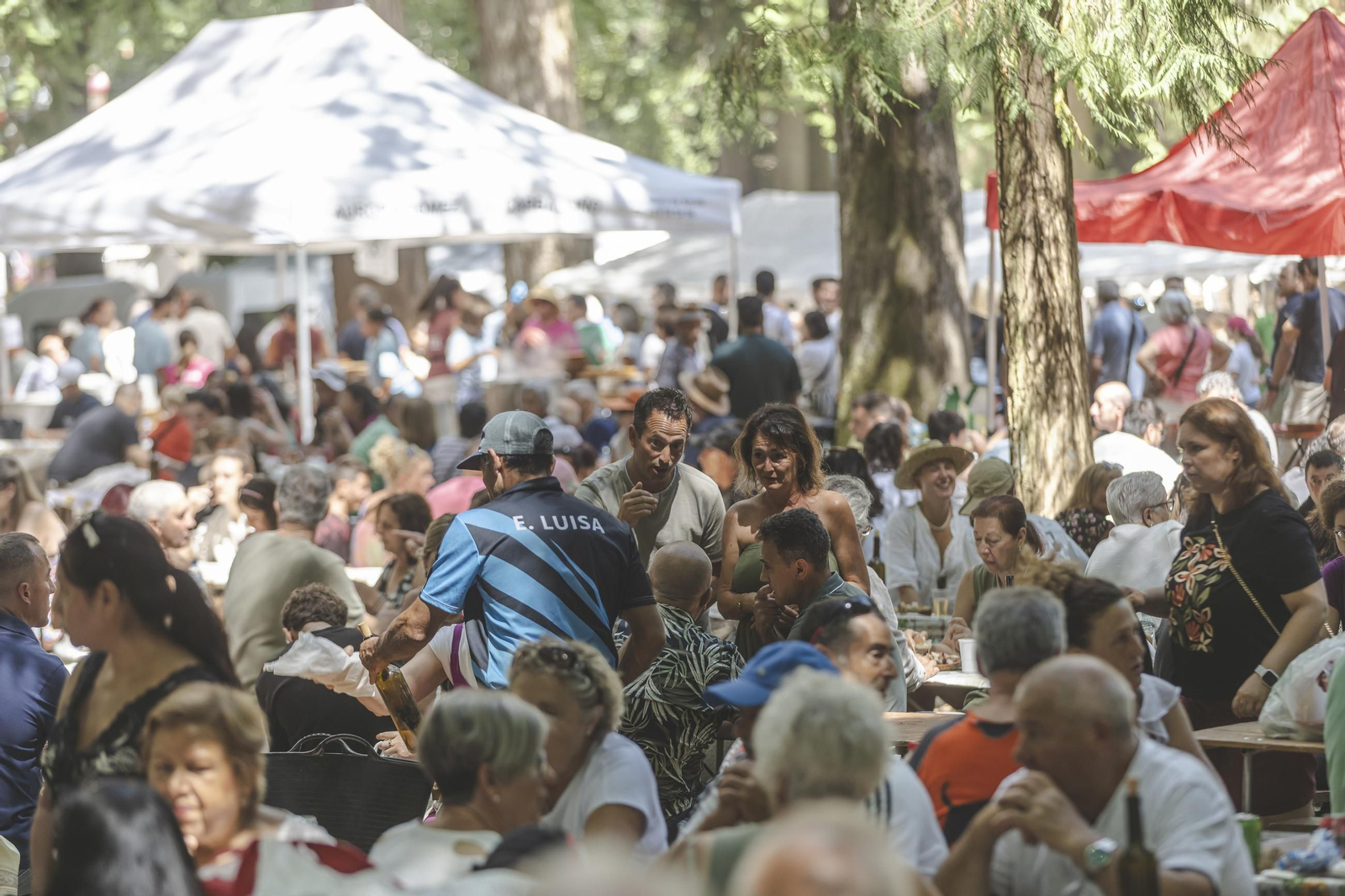 Galería | O Carballiño vuelve a disfrutar un año más de la Festa do Pulpo