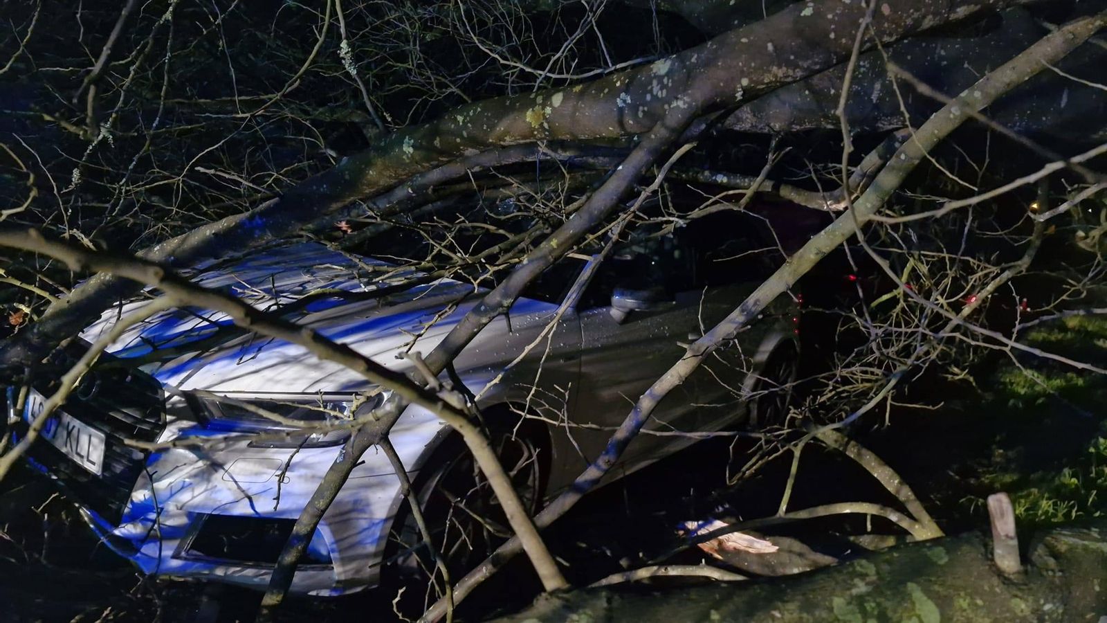 Un gran árbol cayó sobre un coche en Raxó (Poio).