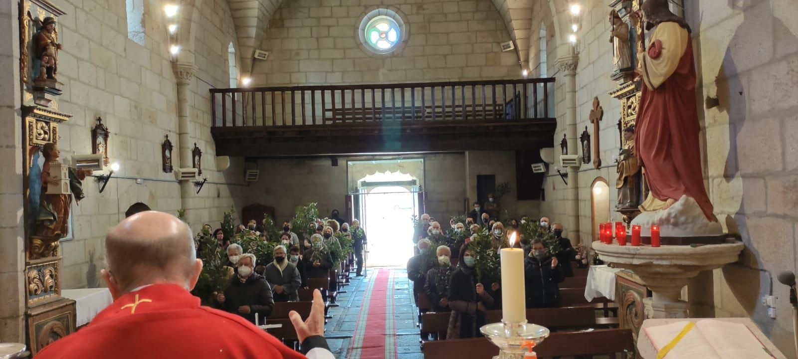 Celebración del Domingo de Ramos