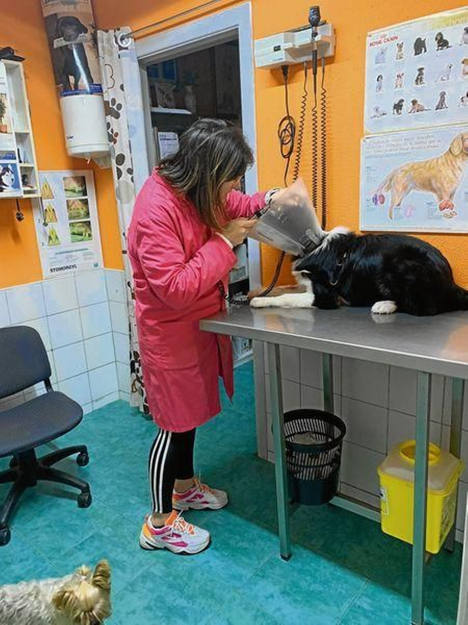 20200215155435001_resultado