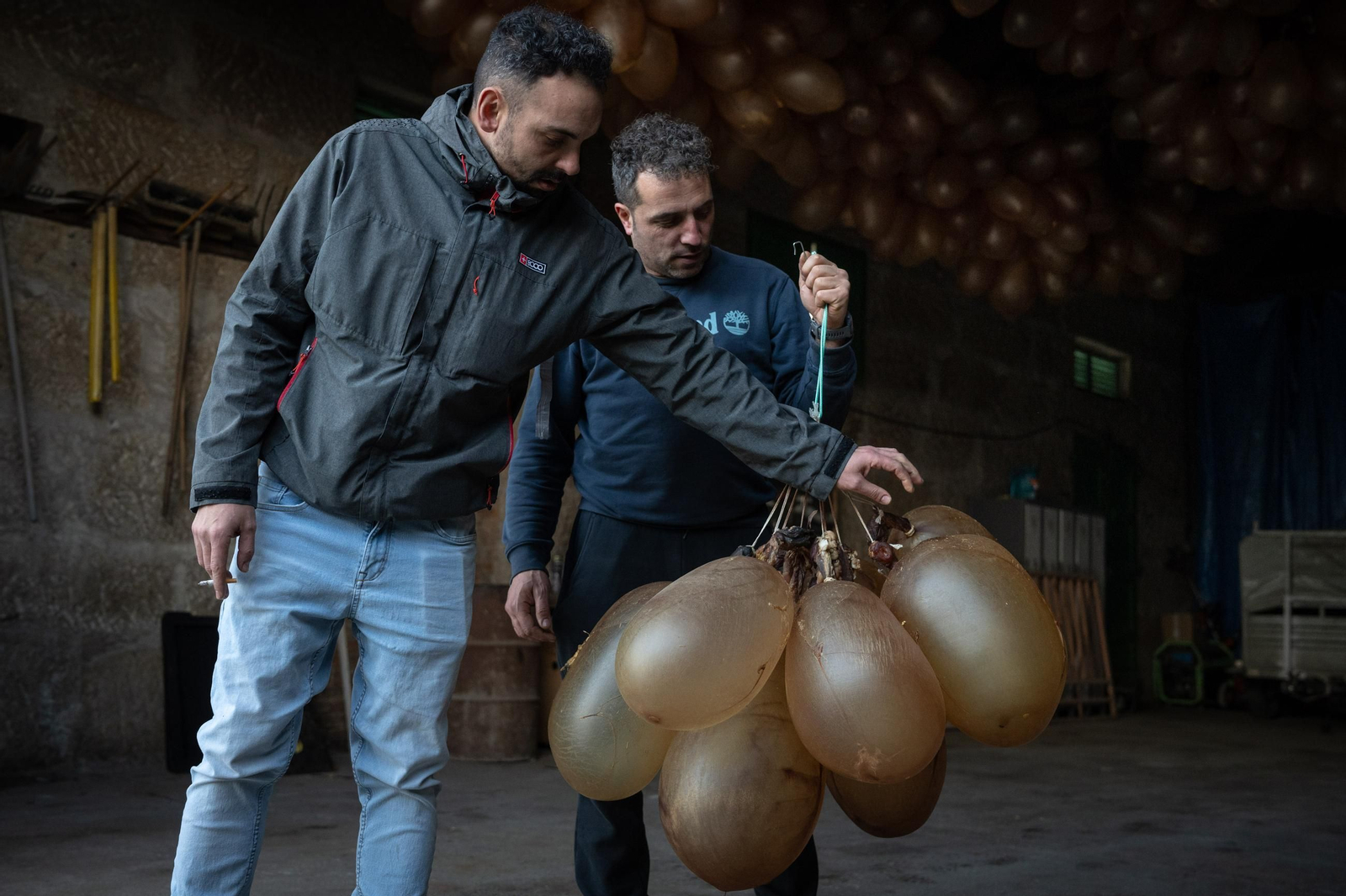 Galería | Las vejigas hechas para las pantallas del entroido rural