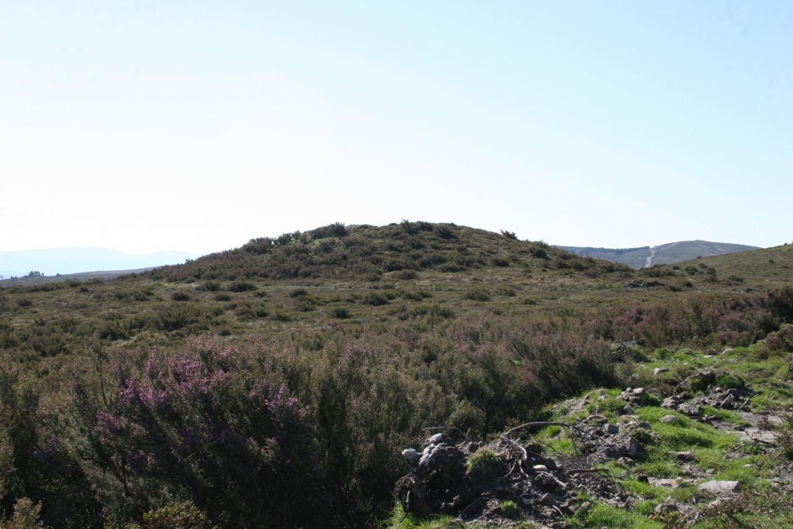 Túmulo megallítico colonizando a Serra das Motas, en Lobeira.