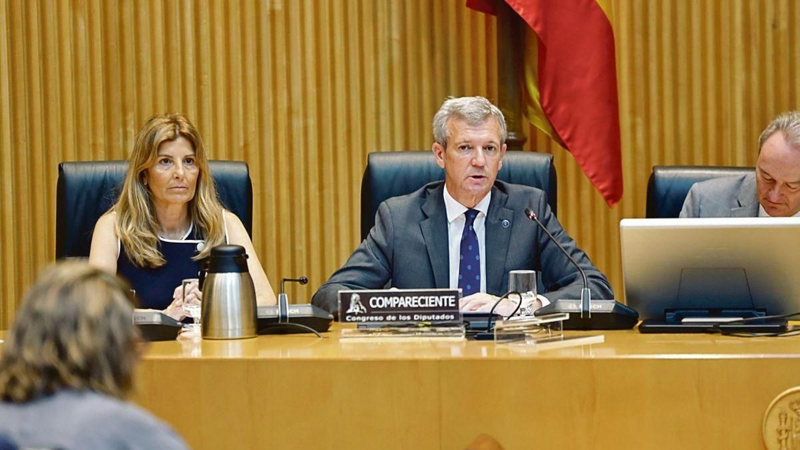 El presidente de la Xunta, Alfonso Rueda, durante su intervención en la Comisión Mixta de la UE.