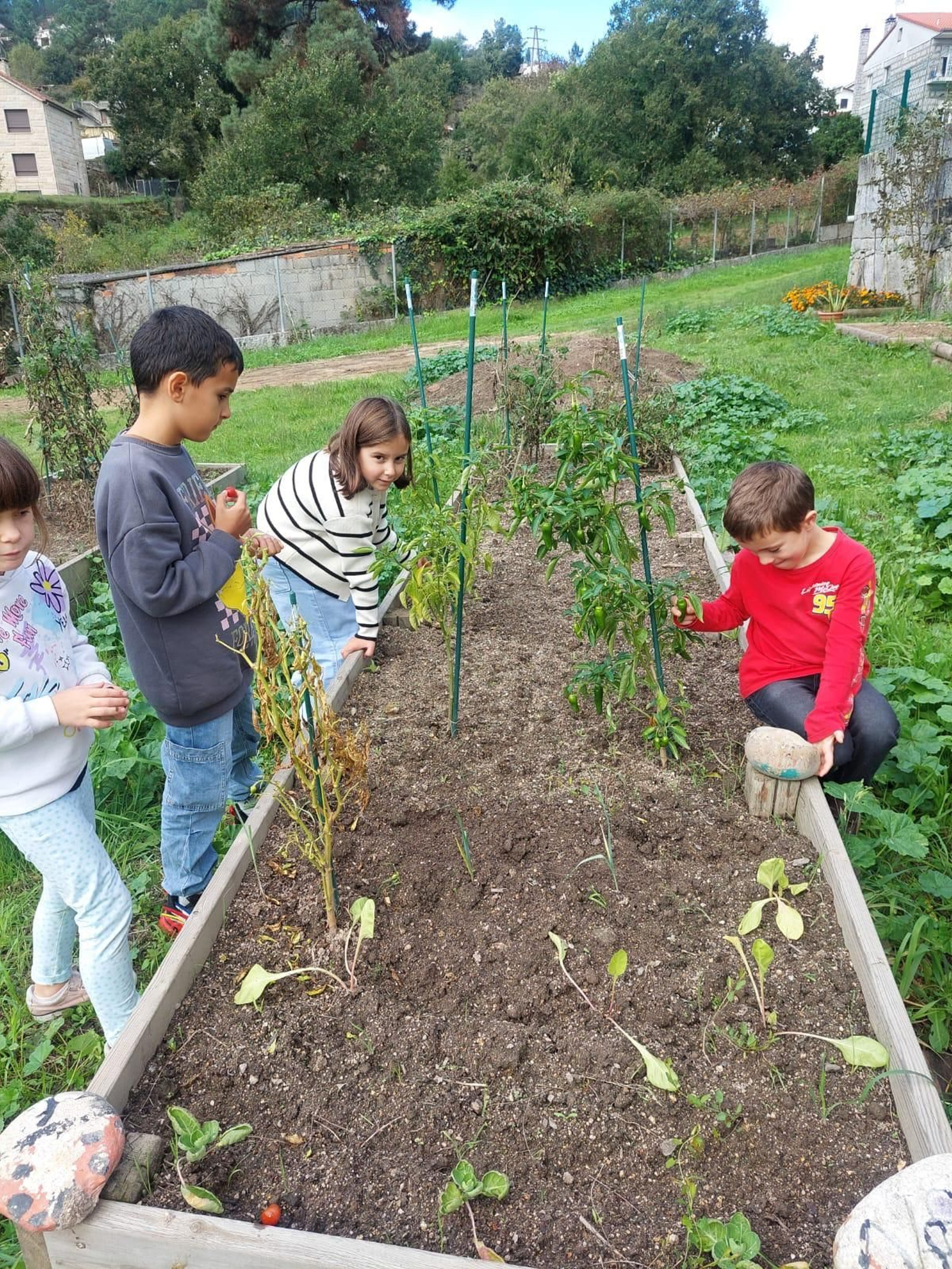 A natureza como mestra no Ruxidoiro