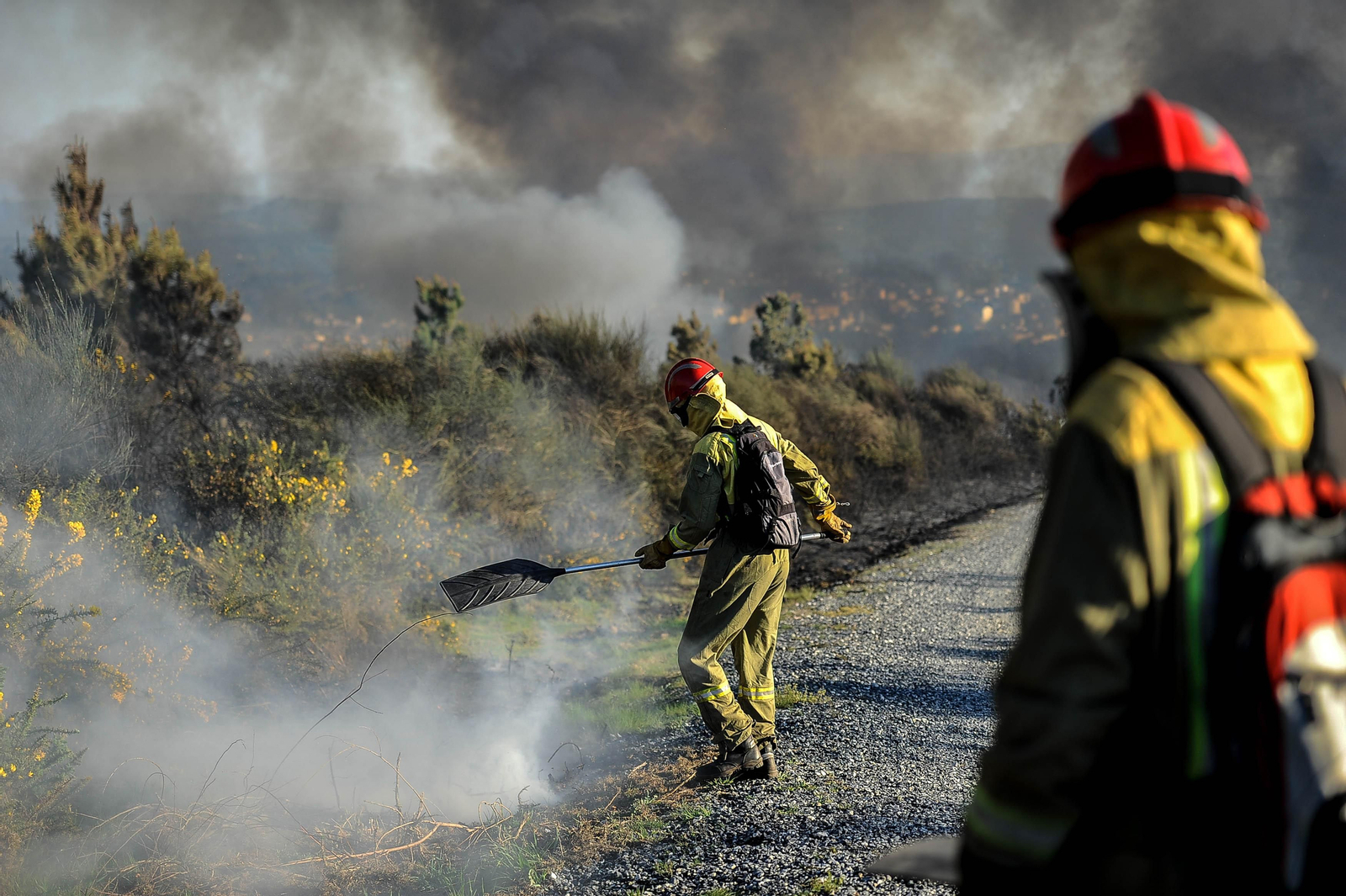 Dos brigadistas apagan un fuego que se declaró hace un año en un monte de la provincia.