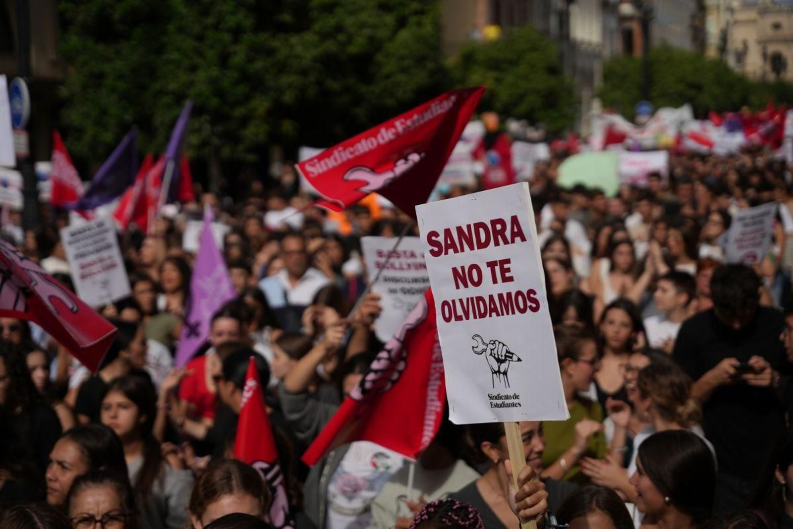 Pancartas contra el bullying en la huelga general estudiantil en solidaridad con Sandra Peña en Sevilla.