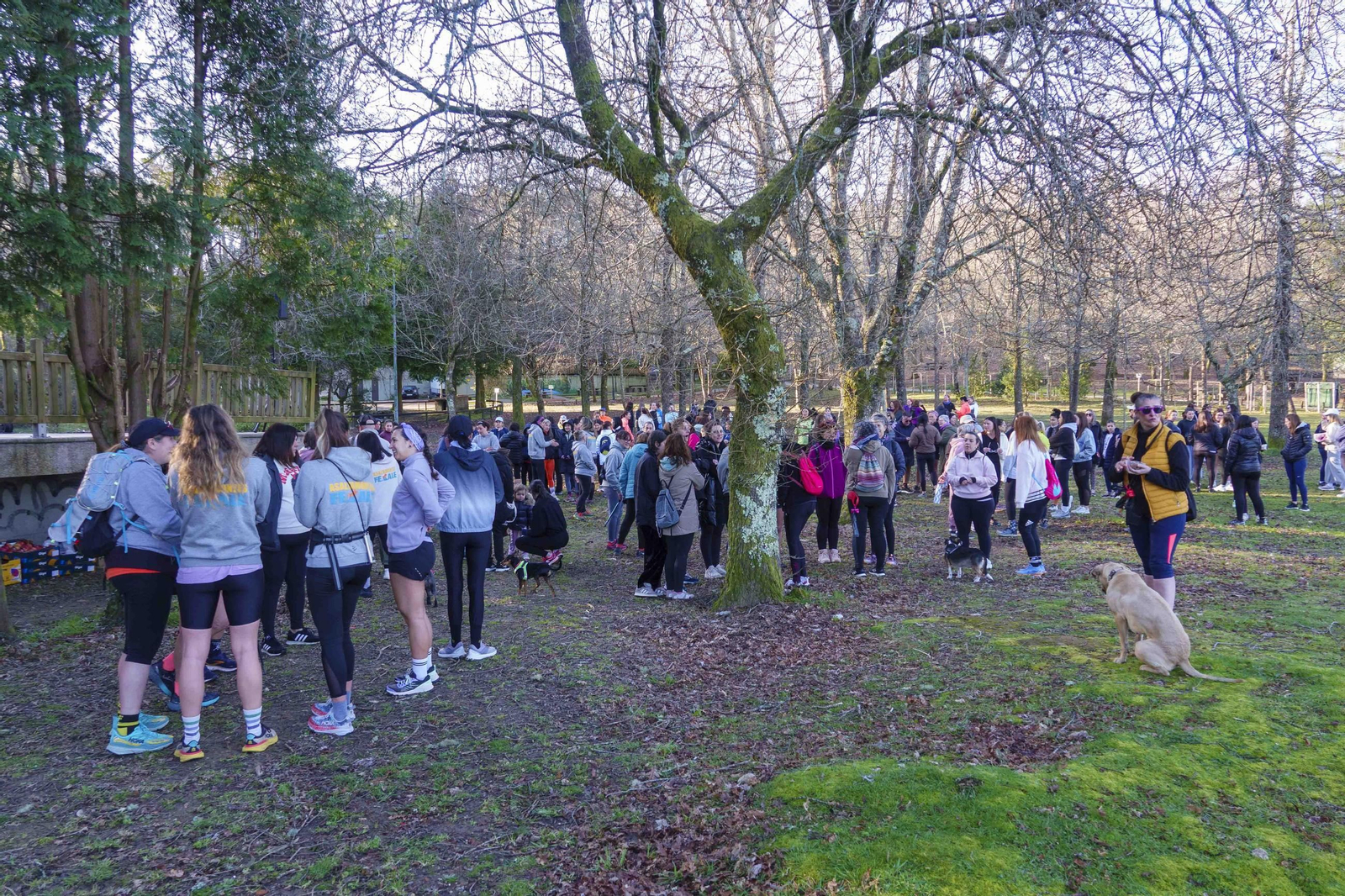 Galería | Mujeres se echan a la carrera en el encuentro de Asaltamontes Female