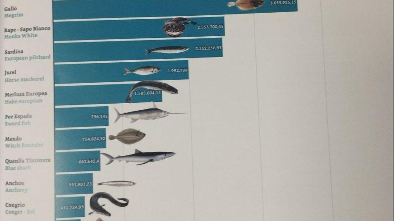 La lonja viguesa depende y cada vez más de dos o tres especies, que acumulan la mayoría de las toneladas, con el rape a la cabeza en sus dos variedades, ambas muy apreciadas. Los tiburones, en noveno puesto.