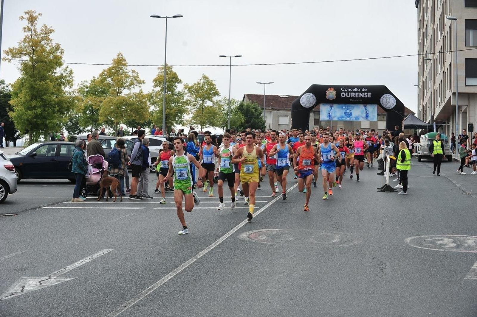 Salida de la prueba de adultos