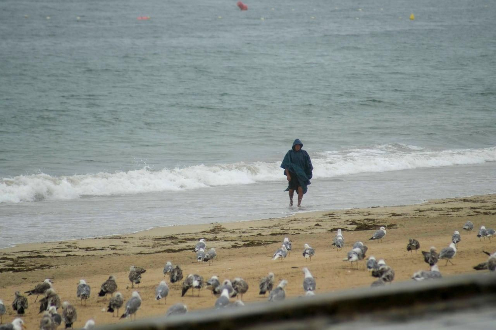 Galería | La lluvia sorprende a Vigo tras meses de tiempo seco
