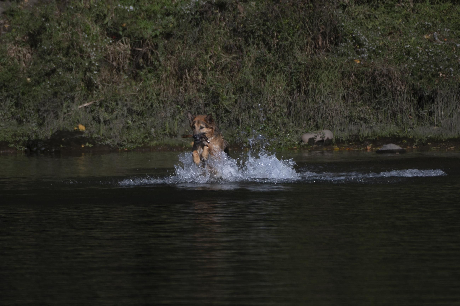 Galería | Los ourensanos exprimen el veroño que ya tiene fecha de caducidad, en fotos