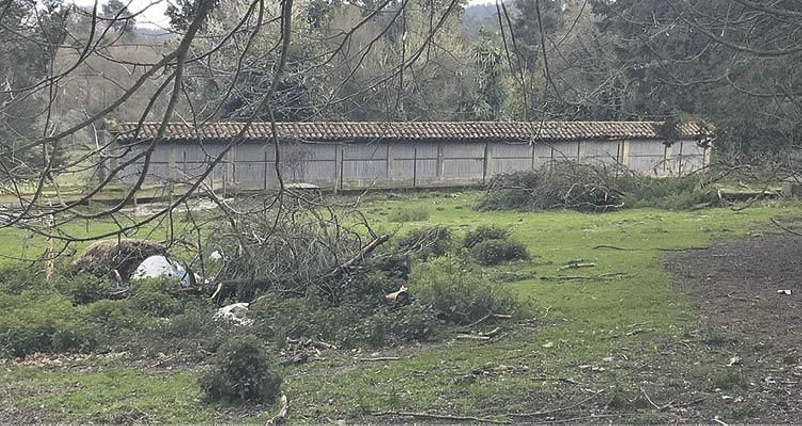 Hórreo “de Guinness” en A Peroxa