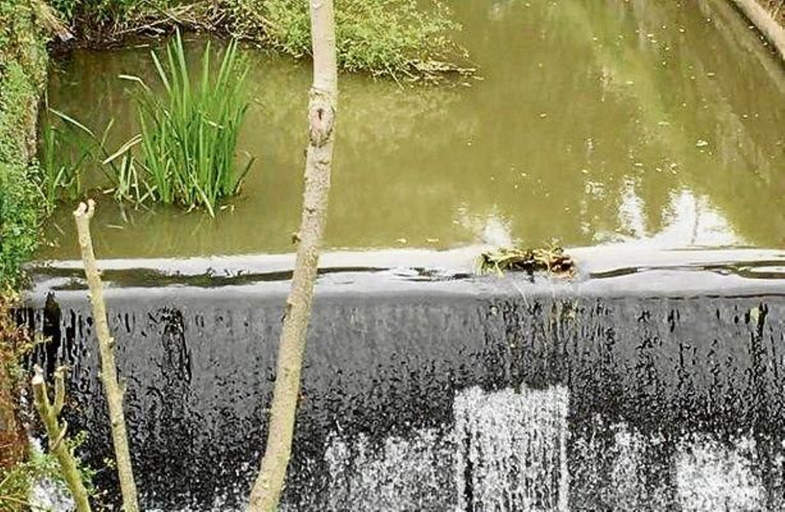 Estado del río Barbañica tras un vertido, el pasado verano.