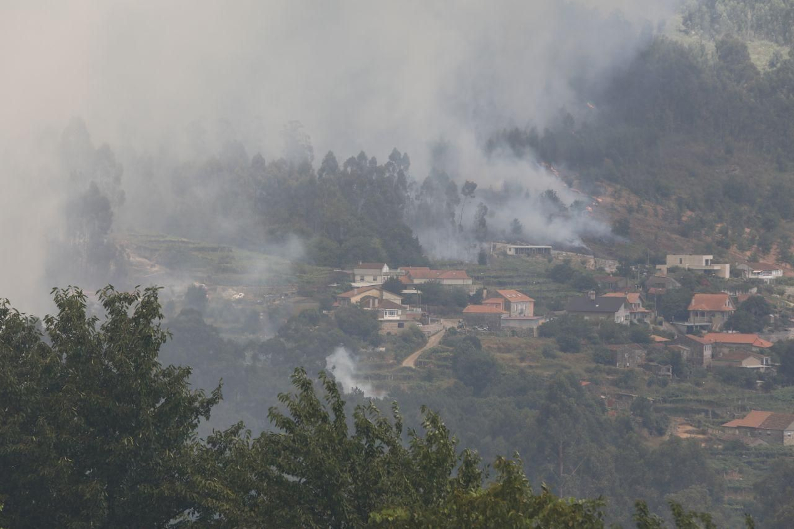 photo_2022-07-30_18-48-11