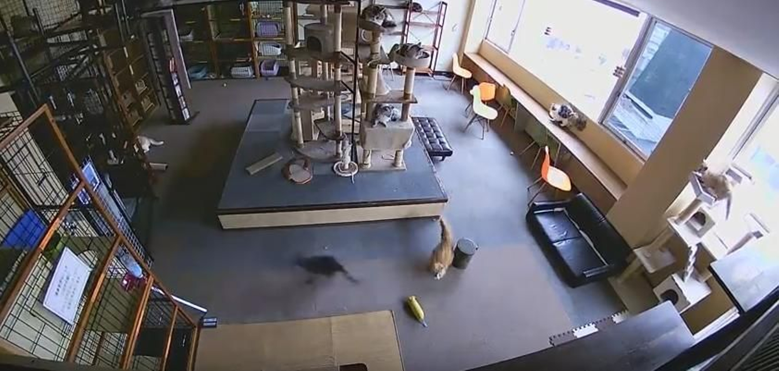 Uno de los momentos que recogieron las cámaras de vigilancia.