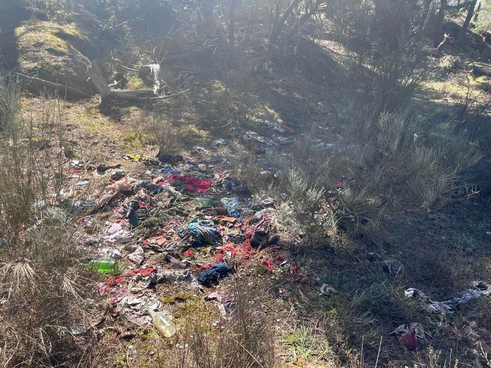 Basura en Cabreiroá (Verín).